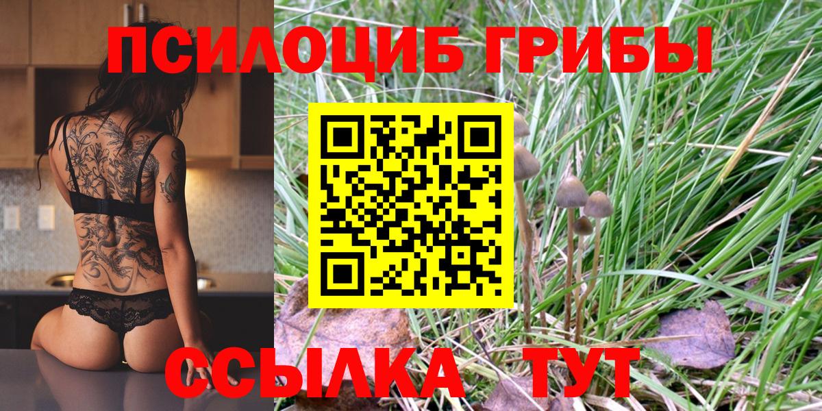 Галлюциногенные грибы Magic Shrooms Усть-Джегута